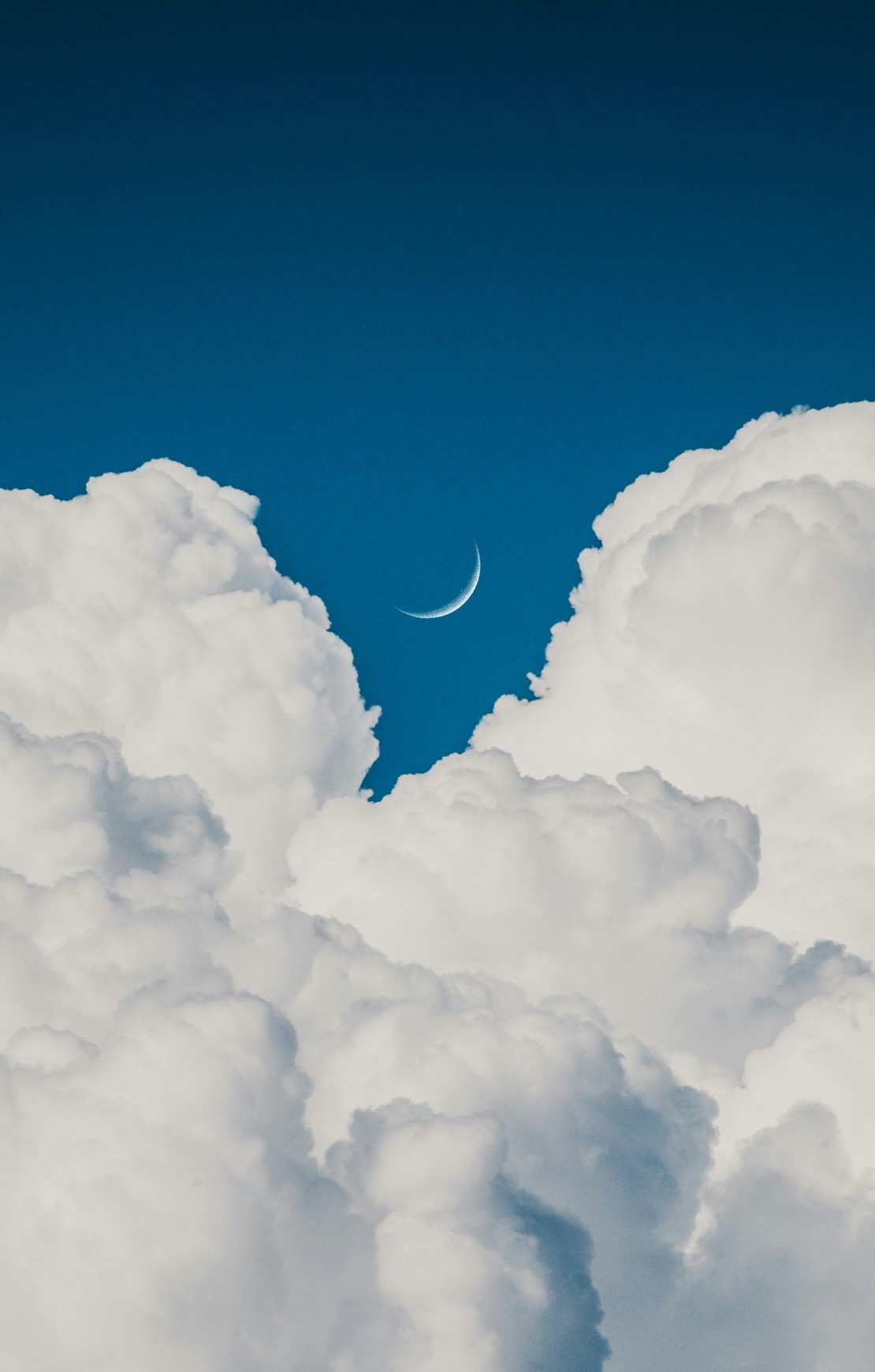Cloud Infrastructure for a SaaS Market Leader